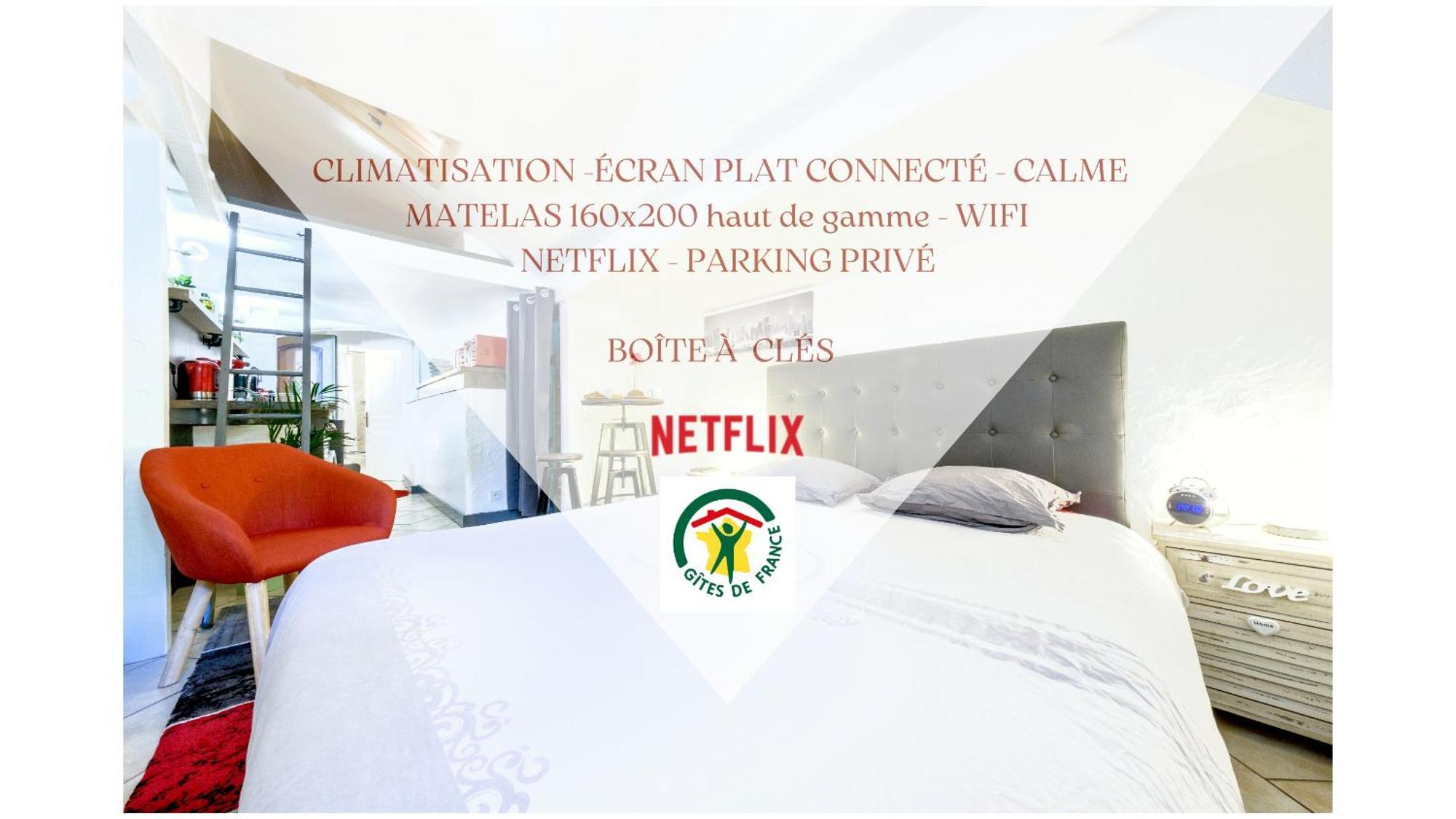 Studio Atypique Et Cosy, Classe "Gite De France" 5Min Centre, 15Min Gare, Lit Queen Size "Climatisation, Netflix Et Wifi, Parking, Lave Vaisselle, Boite A Cles Pour Arrivee Tardive - Gites La Tarine Албервил Екстериор снимка